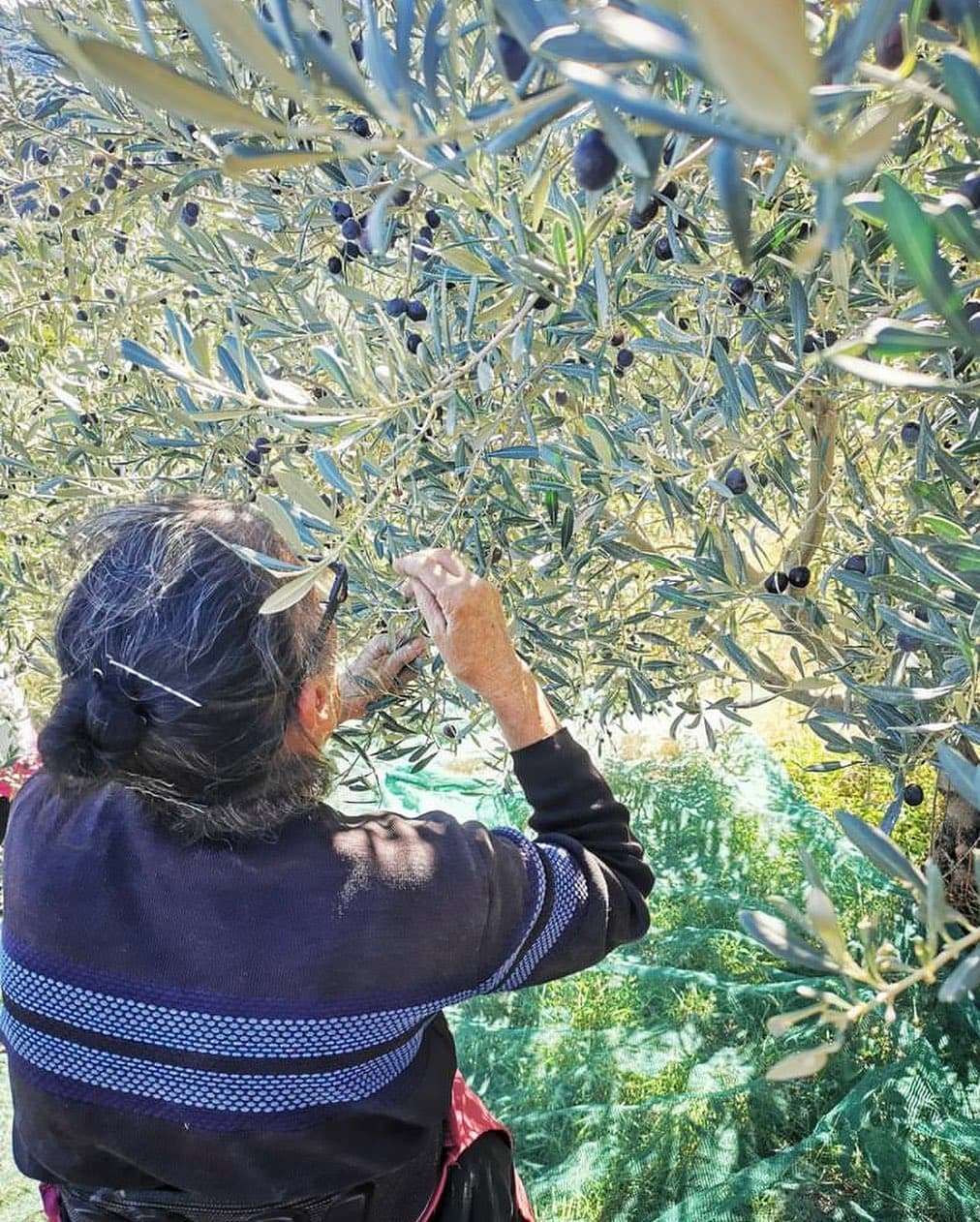 Pentumas Restaurant - Image 1